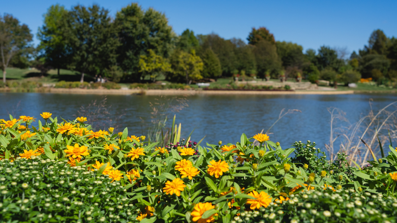 5. Overland Park, Kansas Offers Quiet Stability and High Wellbeing