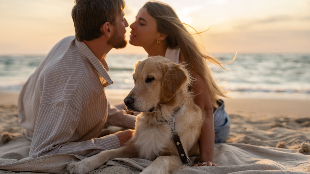 2. The committed monogamous relationship