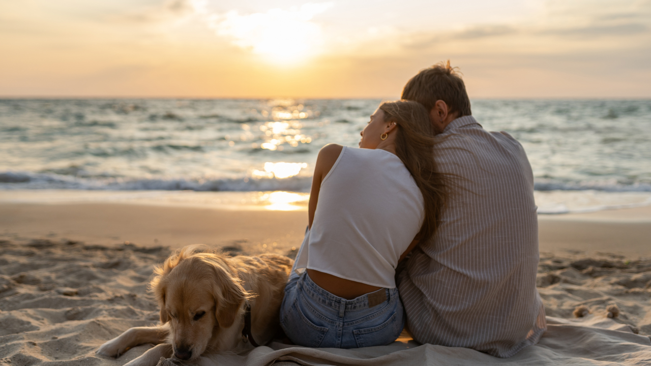 13. A healthy relationship should complete you